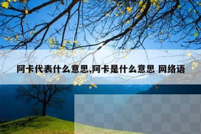 阿卡代表什么意思,阿卡是什么意思 网络语